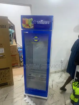 Stay Cool With the Snowsea Lc300w Chiller - Keep Items Fresh