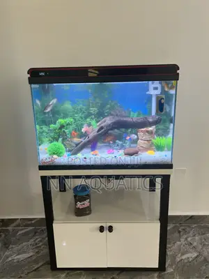 Imported Tank