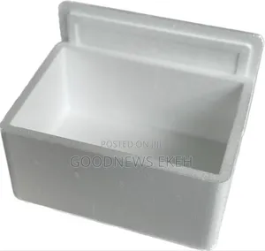 Polystyrene Box for Frozen Food Storage