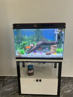 Imported Tank