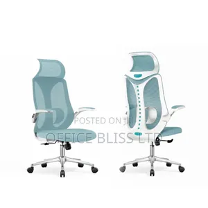 Executive Ergonomic Swivel Mesh Office Chair