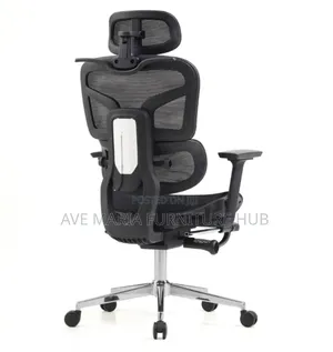 Executive Office Mesh Ergonomic Chair.