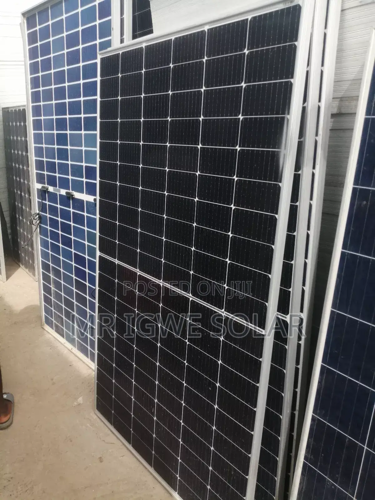 Jinko 600 Watts Panel