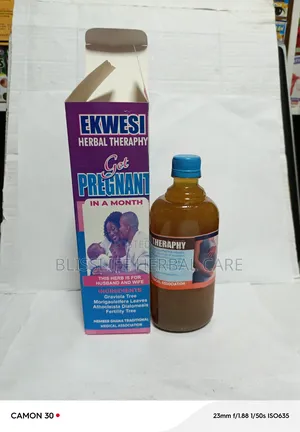 Get Pregnant in a Month Herbal Therapy Ekwesi