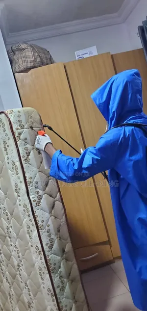 Insects and Bedbugs Fumigation