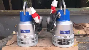 Flyte Submersible Sewage Pump