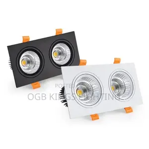 Double Square Led Downlight Light Cob Ceiling Spotlight14w