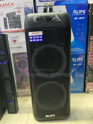 Ailipu Sp-3121d Bluetooth Portable Speaker