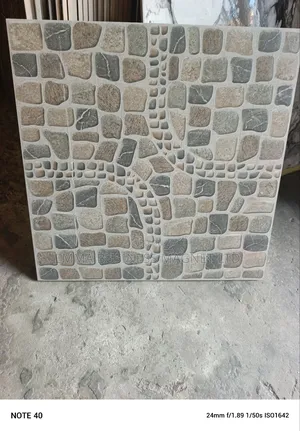 50x50 High Quality India Compounds Floor Tiles 