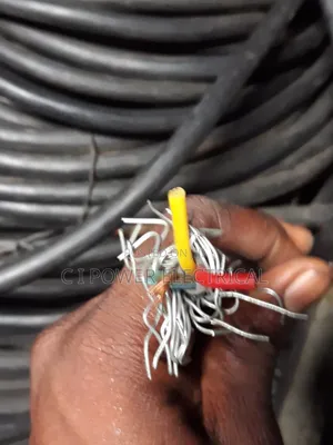 2.5mm 3 Core Nigerchin Cable