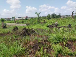 Half Plot of Land Dwarf Fenced New Ijegun Ijegemo High Way