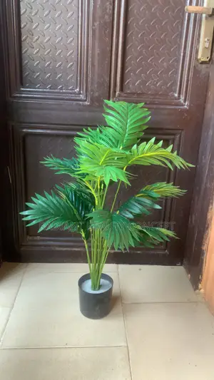 80cm Palm Tree Plant