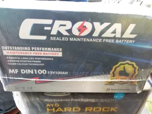 100ah C Royal Battery