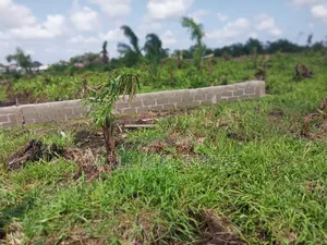 Masive Acres of Land by Mma Airport Iikeja