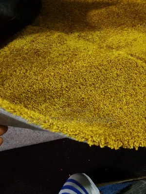 Super Quality Garman Vip Wall to Wall Rug