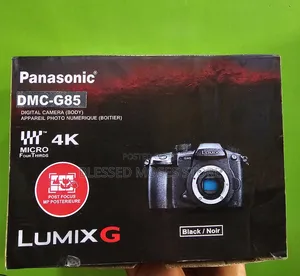 Panoramic Lumix G85 With 14-42 Lens
