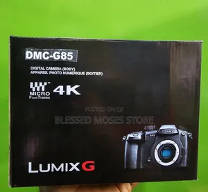 Panoramic Lumix G85 With 14-42 Lens