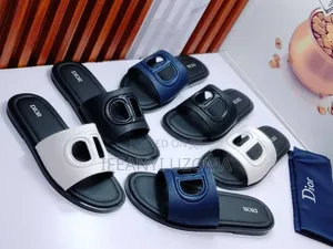 Dior Colorful Luxury Slippers