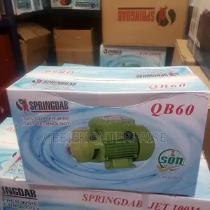 0.5 Spring Dad Pressure Pump