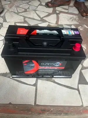 Quality Asimco Battery 12v 100ahs for Motor Benz