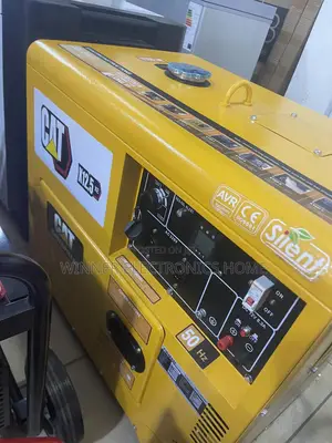Cat 12kva Diesel Generator 100% Copper Coil