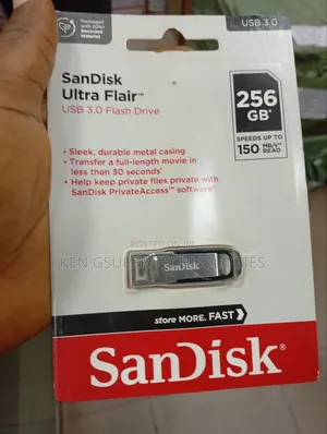 Sandisk 256gb Flash