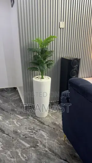 Small Palm With Cone Vase Combo