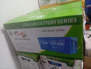 MSN Lithium Ion 12v 300ah Lifepo4 Battery