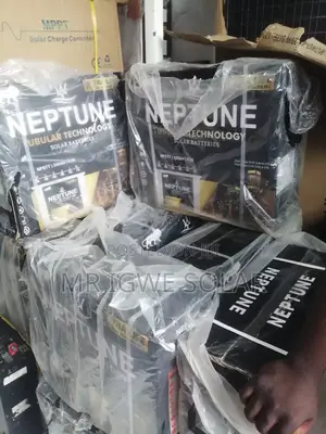 Neptune Tubular Battery 220ah
