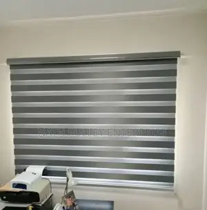 Gloss Grey Day and Night Blind