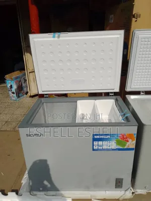 Skyrun 260ltr Deep Freezer