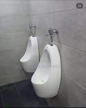 Wall-Hung Urinal With Manual Flush Valve Durable Hygienic