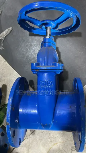 6" Gate Valve