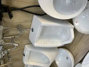 Wall Mounted Ceramic Urinal With Manual Flush Valve