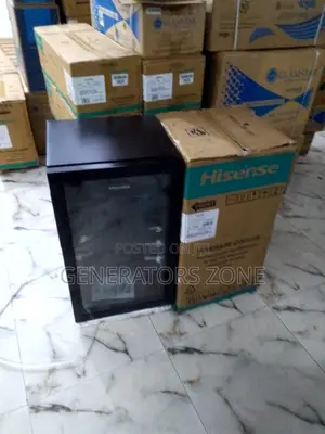 Perfect for Students Professional Hisense 91l Chiller