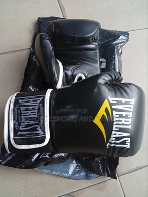 Everlast Boxing Gloves