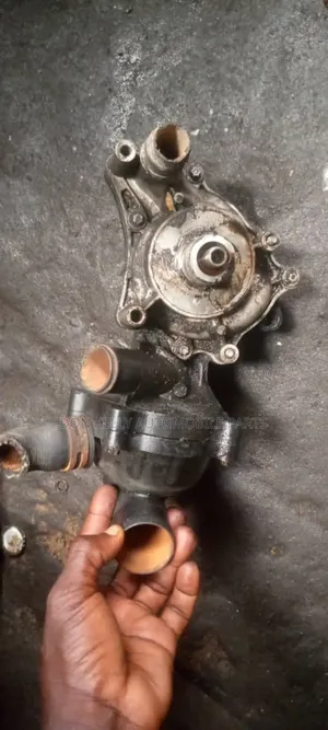 Audi Q7 Water Pump 4.2/Audi A8l