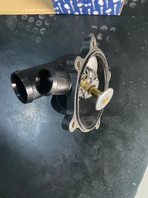 Audi Q7 Engine Thermostat 4.2