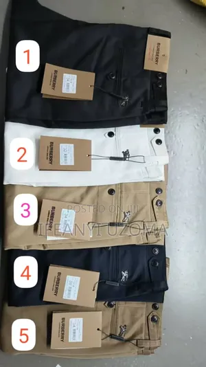 Burberry Quality Chinos Trousers