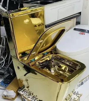 Luxury Golden Toilet Premium Quality And Unique Design"