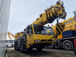 Heavy Duty 250 Tons Mobile Crane For Sale