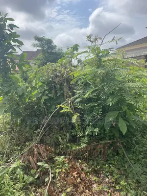 Ful Plot of Land at Mashalla Elebu