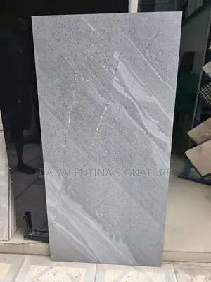High 60x120 Floor Tiles for Sitter Rooms and Rooms