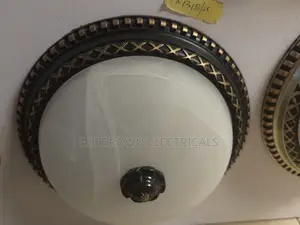 Ceiling Fittings Light Fixture