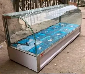 Foreign Food Warmer