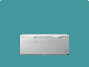 Hisense Chest Freezer 702l (91dd)
