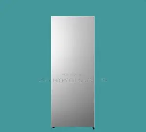 Hisense Standing Freezer 190l (189dr)