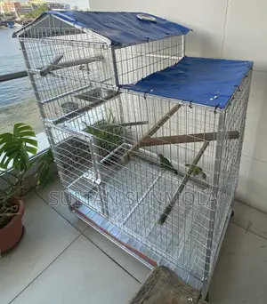 Parrot Cage for Sale