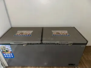 600 Liter Deep Freezer