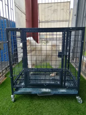 Dog Collapsible Cages